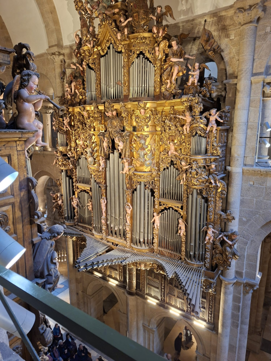 Šibenski hodočasnici zapjevali u katedrali Svetog Jakova u Santiagu de Composteli