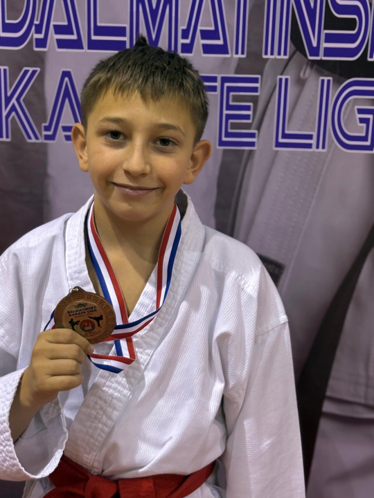 Dalmatinska karate liga