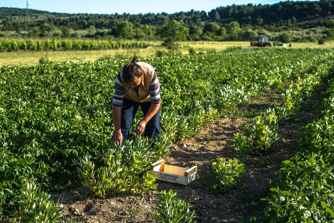 Ajmo Lokalno dolazi na Adventurin Market: Blagdani imaju bolji okus kad birate domaće