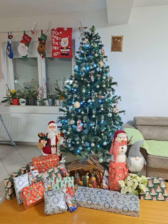 Odluka je pala: Donosimo vam pobjednike izbora najljepše božićne jelke ŠibenikIN-a