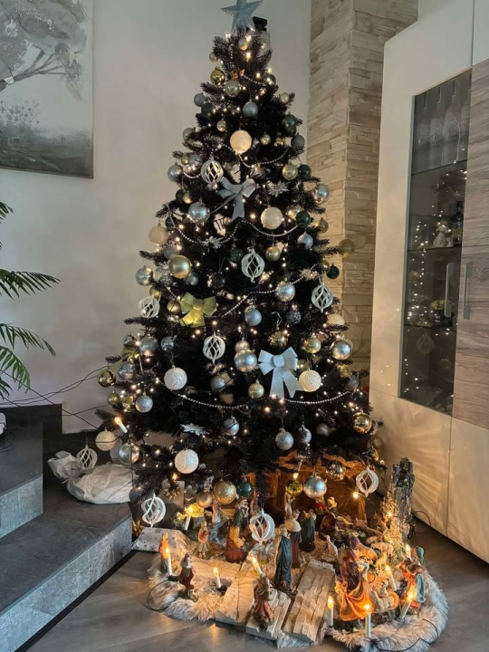 Odluka je pala: Donosimo vam pobjednike izbora najljepše božićne jelke ŠibenikIN-a