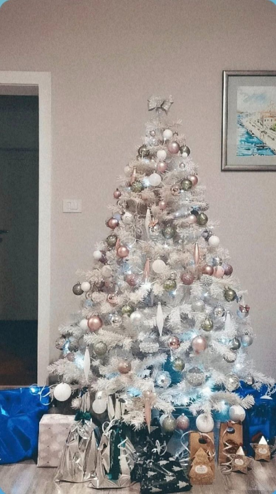 Odluka je pala: Donosimo vam pobjednike izbora najljepše božićne jelke ŠibenikIN-a