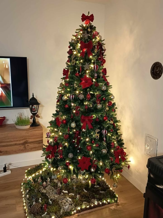 Odluka je pala: Donosimo vam pobjednike izbora najljepše božićne jelke ŠibenikIN-a