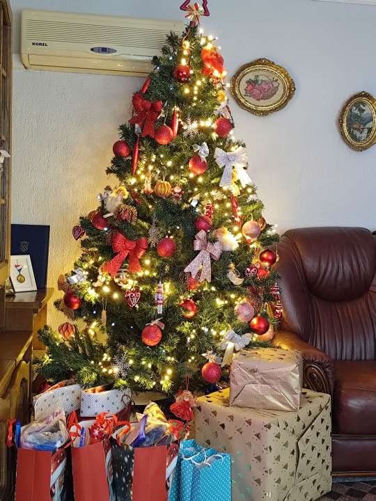 Odluka je pala: Donosimo vam pobjednike izbora najljepše božićne jelke ŠibenikIN-a