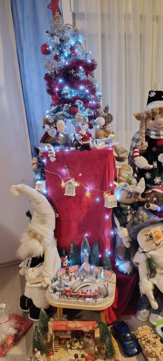 Odluka je pala: Donosimo vam pobjednike izbora najljepše božićne jelke ŠibenikIN-a