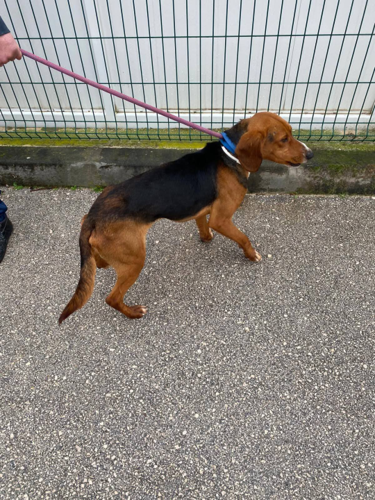 Pokrenut 'Lanac dobrote': Ovi sretnici su izašli iz šibenskog As Eka