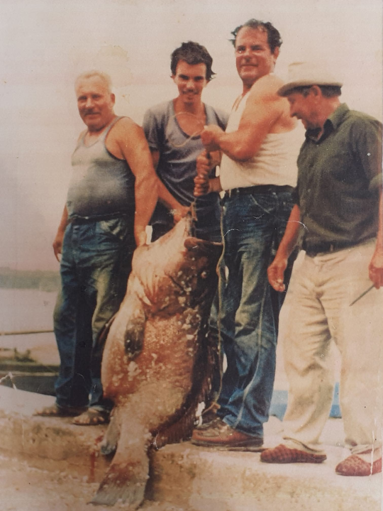 Grupa koja čuva dušu mjesta: Više od 2500 članova svakodnevno oživljava povijest Rogoznice