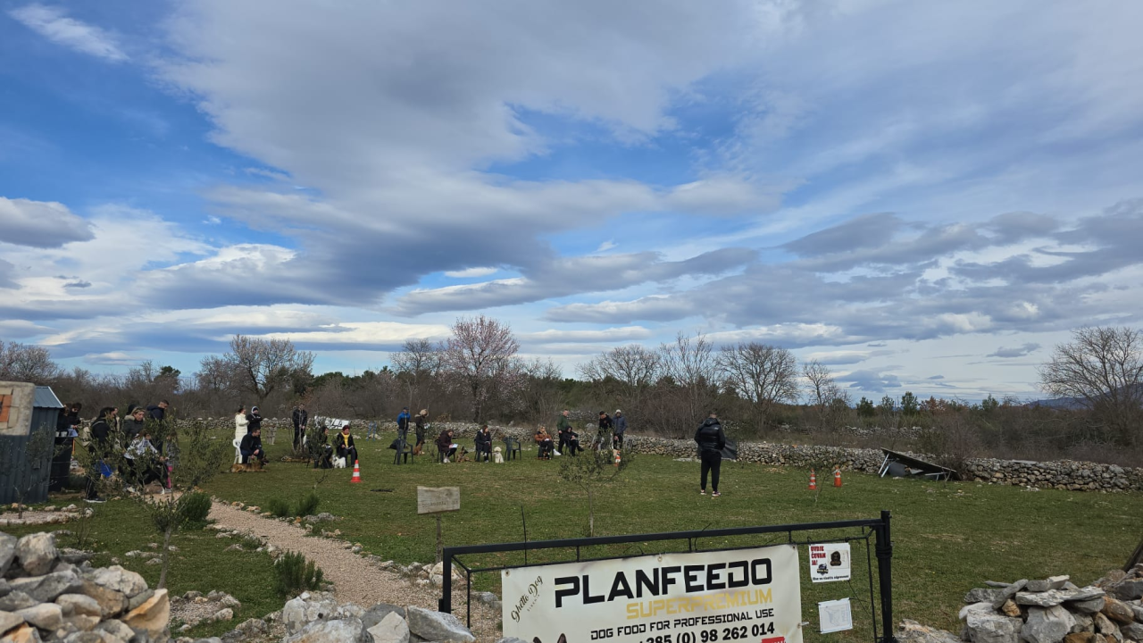 Održano 3. izdanje natjecanja 'Ghetto Dog' u Pokrovniku