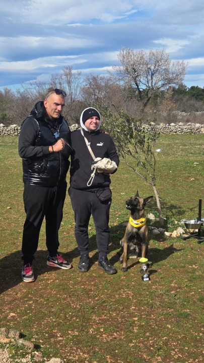 Održano 3. izdanje natjecanja 'Ghetto Dog' u Pokrovniku