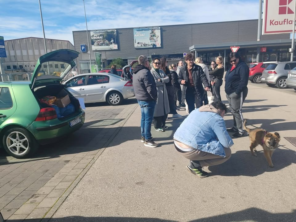 U Šibeniku prikupljene donacije za napuštene njuškice