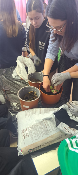 Udruga Argonauta pokrenula projekt 'Cutting Carbon' za promociju biougljena