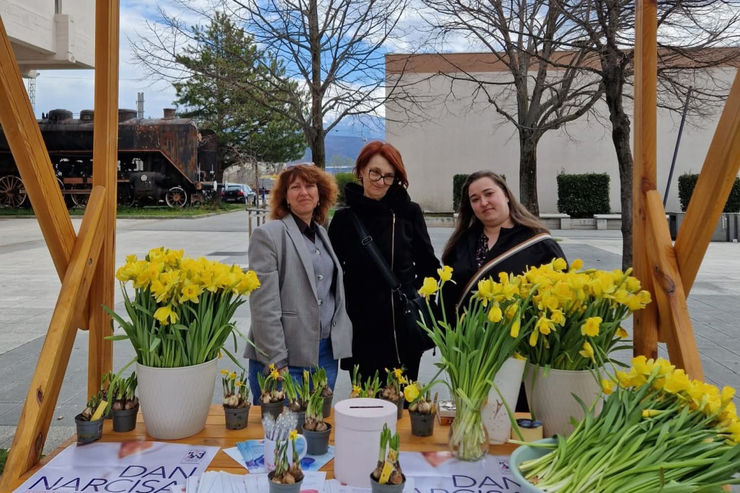 Šibensko-kninska županija obilježila Dan narcisa: Rano otkrivanje raka ključ za izlječenje