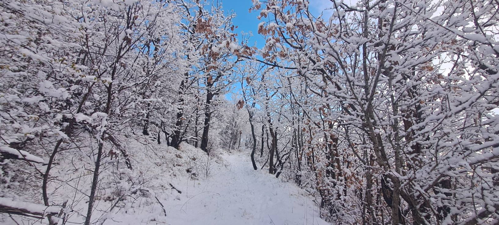 Za vikend se na Promina trailu trčalo u kratkim rukavima, a danas je prekrivena snijegom