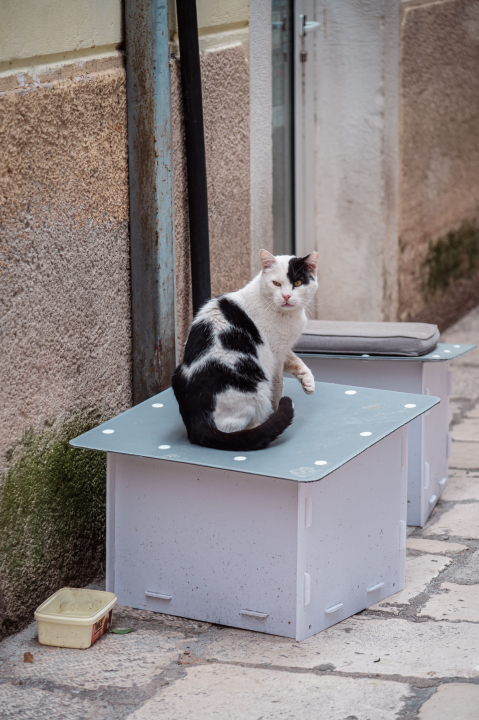 FOTO Đir po gradu, srijeda 1. travnja