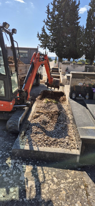 Čempresi završili velik posao: Zasađeno 150 stabala, uklonjeno staro bilje i zamijenjena zemlja