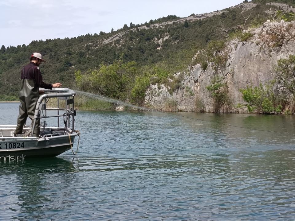 Provedena akcija izlova strane i invazivne ribe s područja Nacionalnog parka Krka