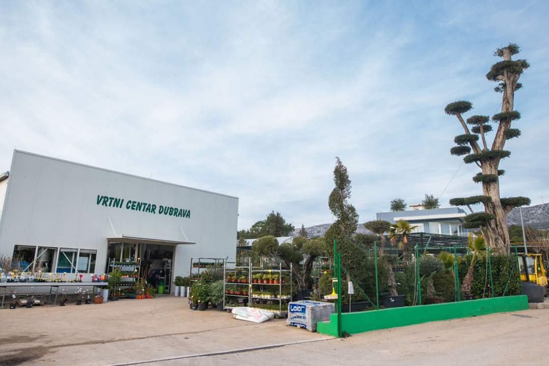 Izaberite nešto baš za sebe iz šarenila cvatnica u Vrtnom centru Dubrava!  