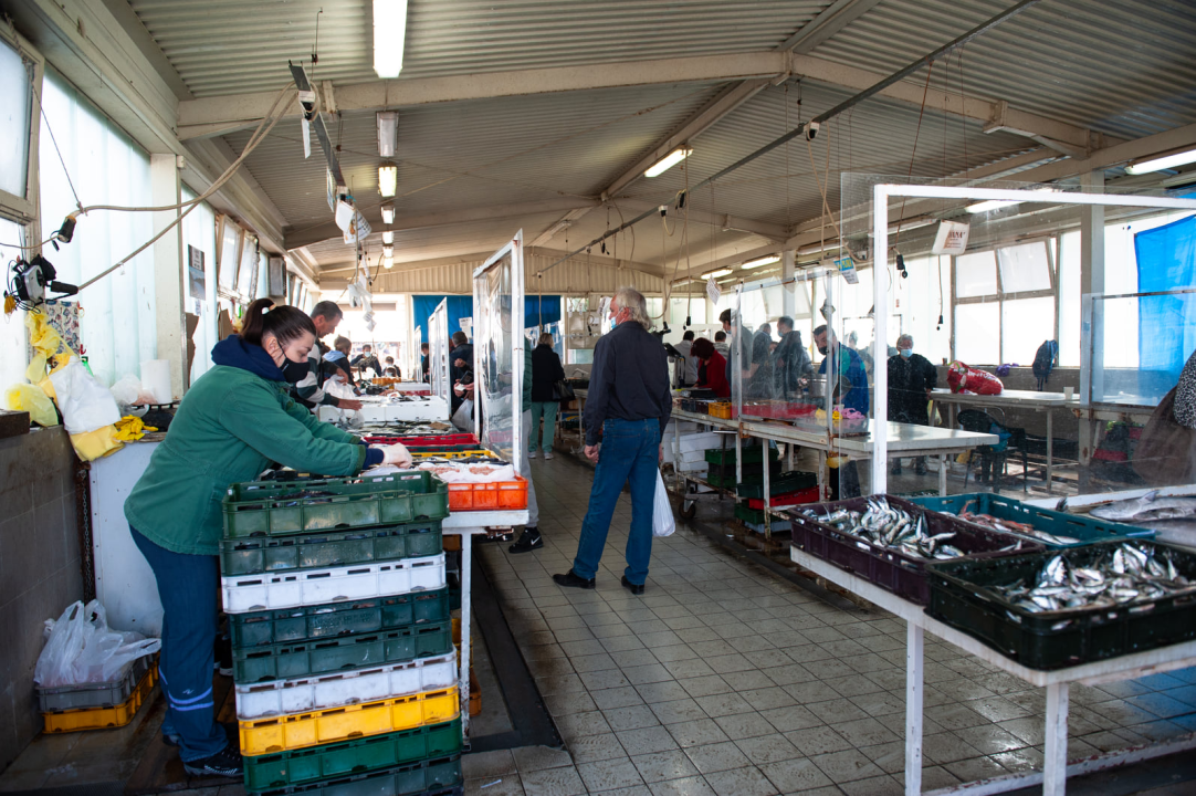 Đir po ribarnici na Veliki petak: 'Uvik je na današnji dan bila gužva, čekalo se u redu za uć po dobru ribu, a vidi sad, ništa'
