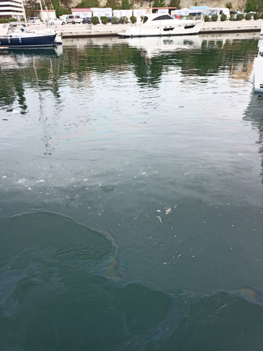 More u Mandalini i dalje prekriveno naftnom mrljom: 'Ovo je sramota za naš turizam'