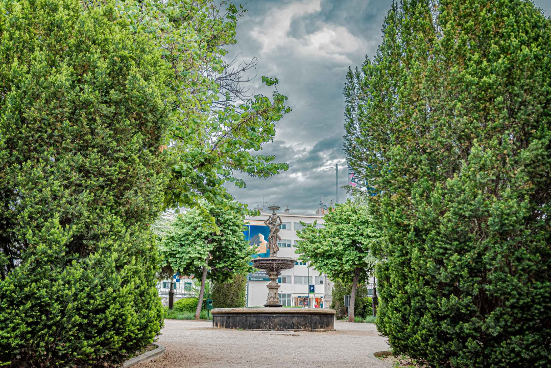 Zeleni grad u đardinu postavio edukativne table: Stabla na rivi i Poljani tretirali protiv nametnika 