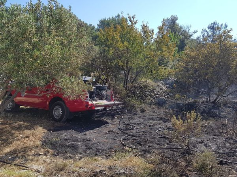 Spaljivanje travi u Brodarici otelo se kontroli: Vatra ipak nije stigla do kuća i borove šume