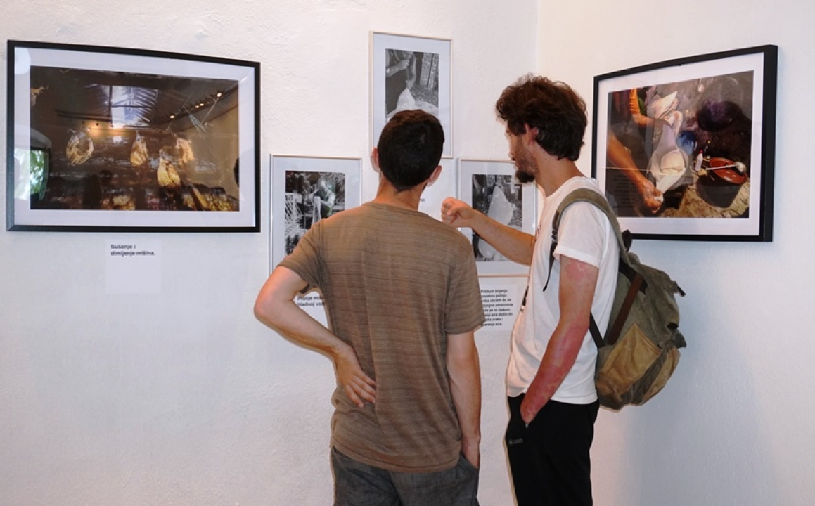 Jeste li znali da je sir iz mišine primjenjiv u kulinarstvu i da može zamijeniti poznati parmezan?