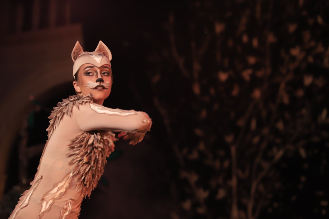 Balet na Ljetnoj: 'Smračilo mi se, ali na kraju je ispalo bolje nego išta'