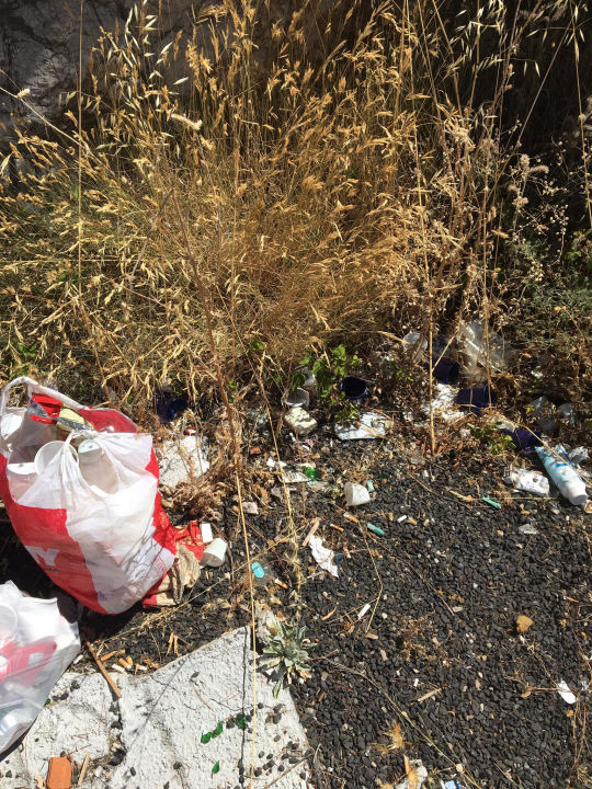 Ne treba nam projekt za TEF, Šibenčani znaju što s njim: Smeće, otpad, odbačeni mačići...