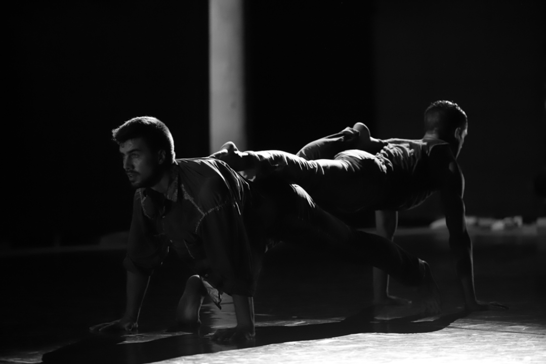 MDF u dva tjedna održao oko 80 programa, 33 radionice sa 600 djece i predstavio 10 tisuća književnih naslova