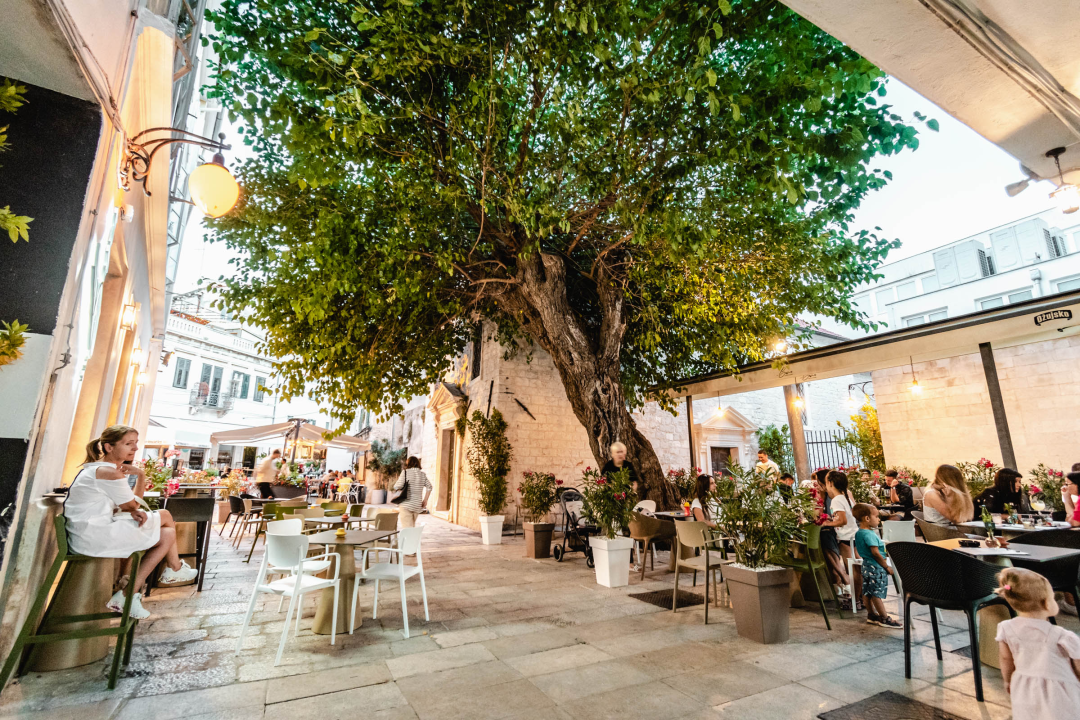 Posjetite Bistro Bava u hladu najstarijeg šibenskog stabla i uživajte u genijalnoj hrani i dvadeset vrsta piva