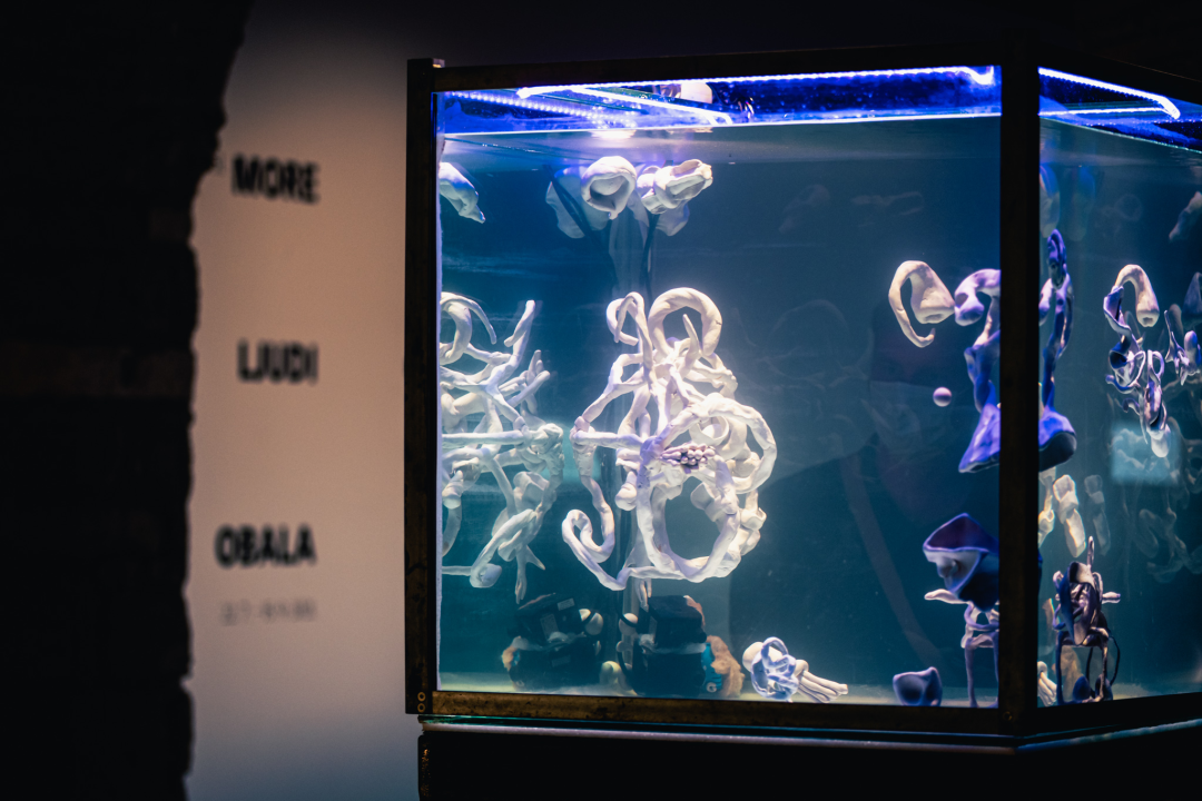 Izložba ‘More, ljudi, obala’ donosi konceptualne radove i snažne poruke o depresiji, migrantima...