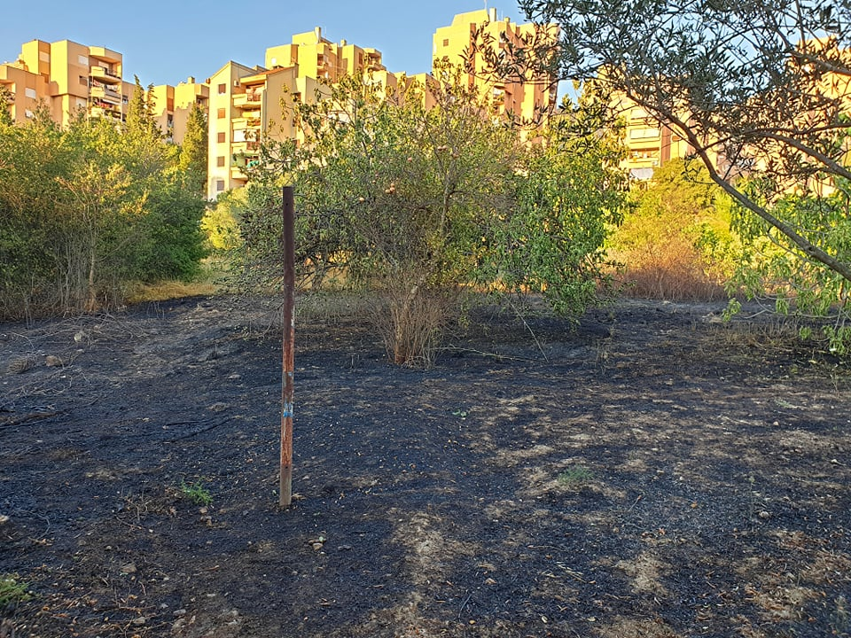 Ugašen je požar koji je buknuo kod Rasadnika na Vidicima: Na intervenciju izašle tri vatrogasne ekipe 