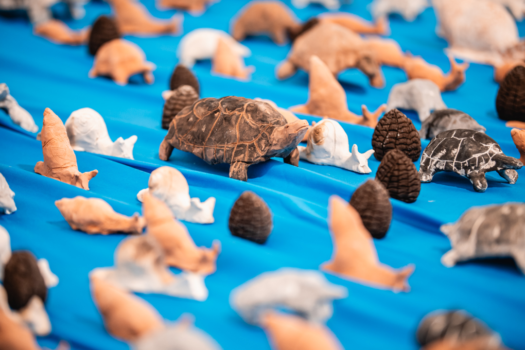 ‘Žabe’ okupirale sv. Krševan: Na zidu su psihodelične, na podu ih je stotine od terakote