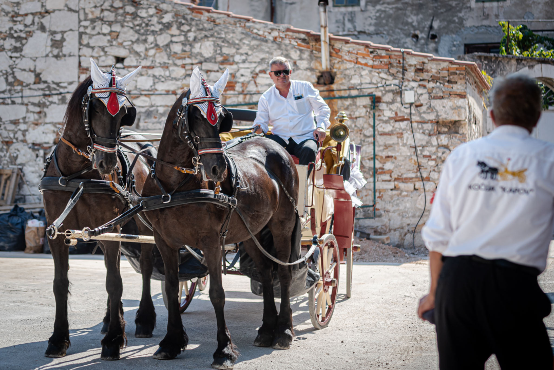 Vjenčanje na belgijski način: Dvije frizijske kobile kaskale centrom grada i rivom  