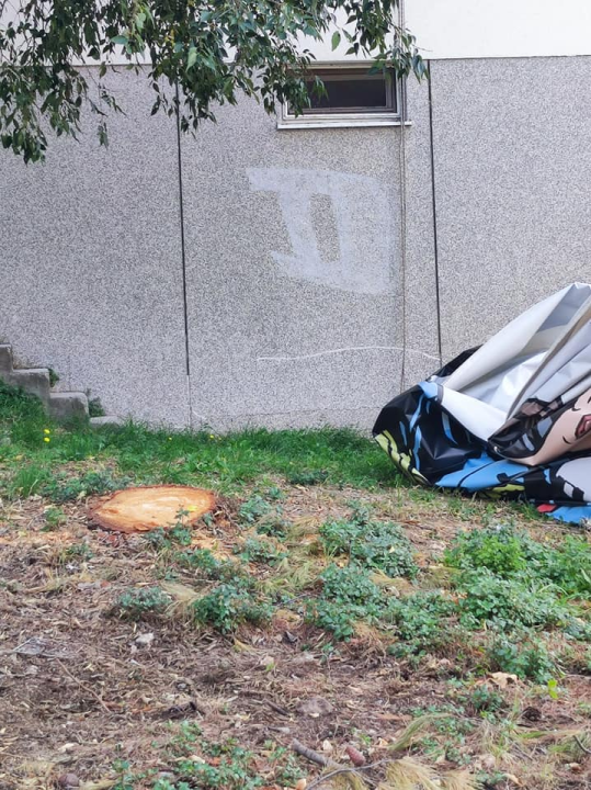 Stablo na Krvavicama platilo danak reklami? Ne znamo razlog, ali danas je posječeno