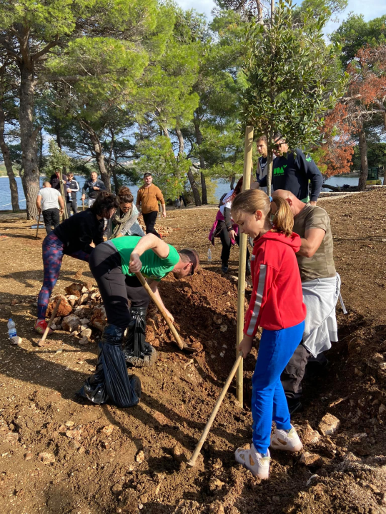 Šibenski volonteri s kolegama iz Europe zasadili mlada stabla u uvali Minerska u kanalu
