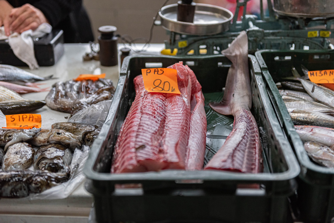 Ponuda ribe na peškariji u skladu s tmurnim danom: Ipak, za 50 kuna može se kupiti pet kila ribe, a ima i štriguna