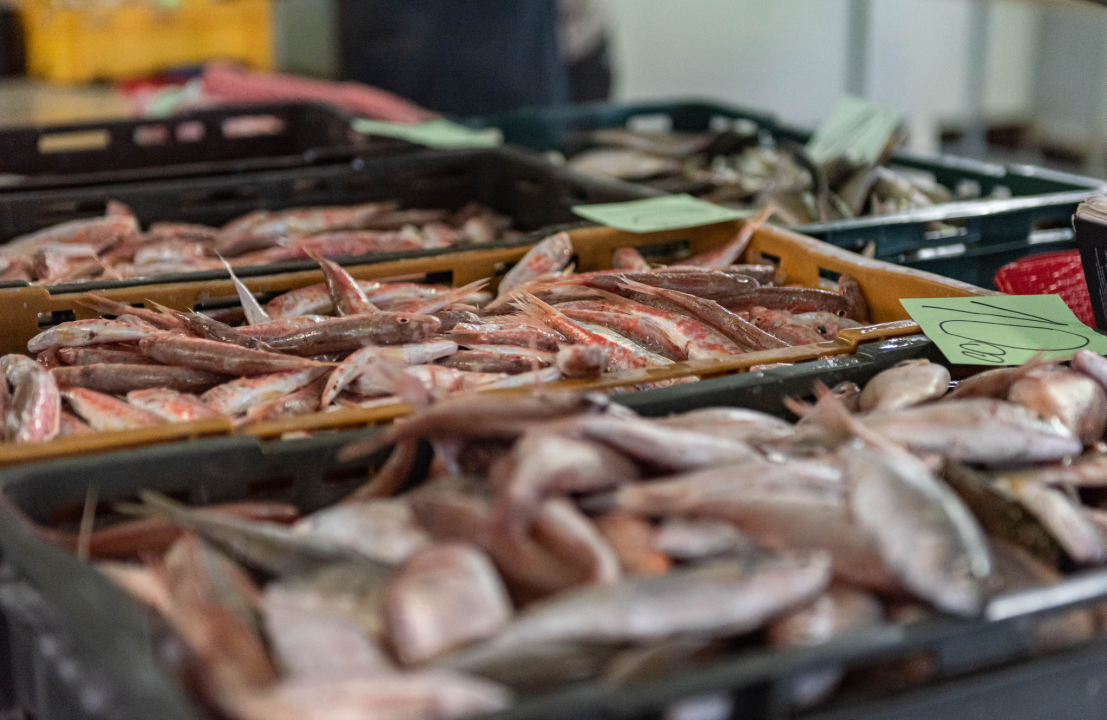 Ponuda ribe na peškariji u skladu s tmurnim danom: Ipak, za 50 kuna može se kupiti pet kila ribe, a ima i štriguna