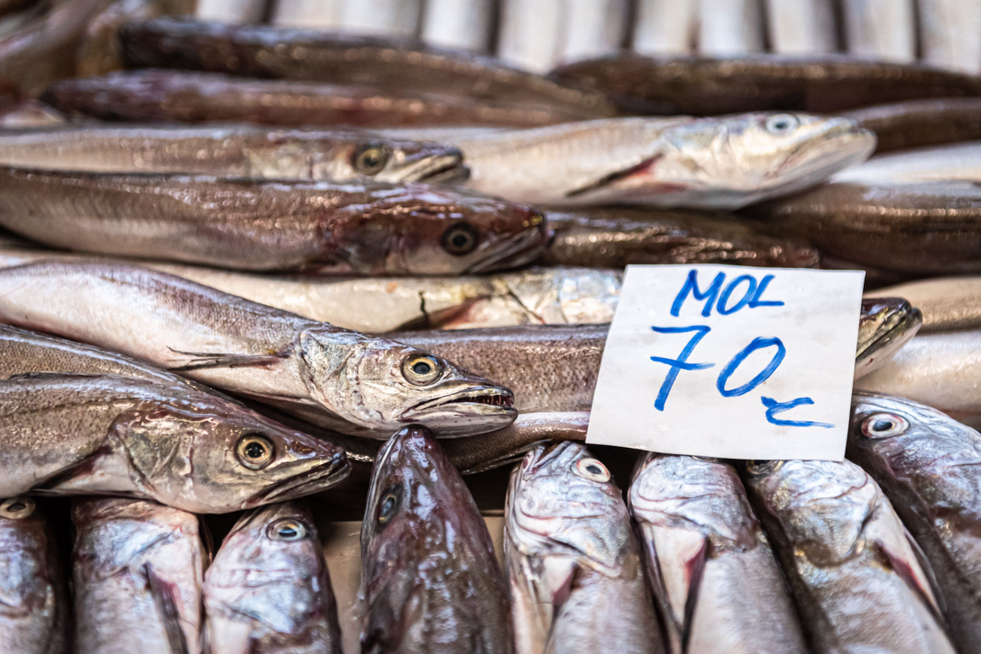 Na Badnji dan i nije neka ponuda na peškariji, Šibenčani su se za ove blagane izgleda pripremili ranije 