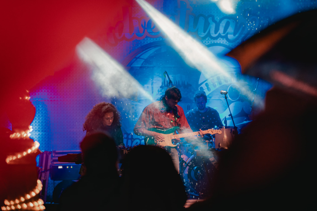 Svemirko i PARK kontra atmosferskih neprilika: U đardinu je sinoć bilo ludilo, pogledajte atmosferu  