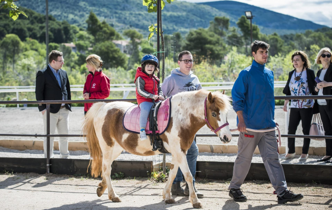 Tetak Tomislav o radu u vrtiću: 'Zbog podjela na muške i ženske poslove, muškarci odustaju od zanimanja odgojitelja' 