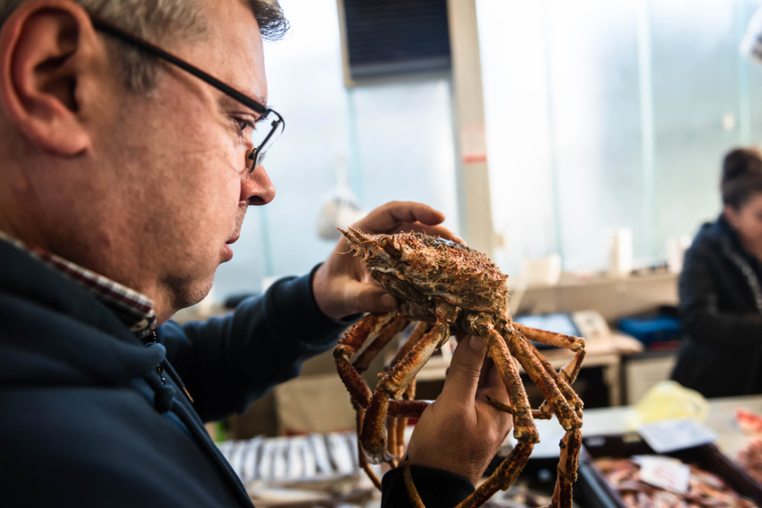 Fotogenična ponuda na šibenskoj peškariji: Grmalj, kokoti i nekoliko kolateralnih žrtava