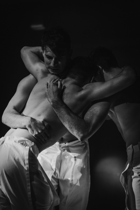 'Boys Boys Boys' sinoć u Arsenu: Šibenčanke uživale u ekspresivnom muškom plesu 