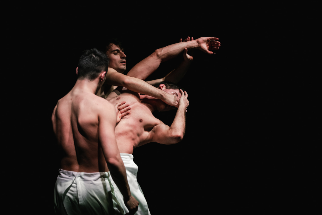 'Boys Boys Boys' sinoć u Arsenu: Šibenčanke uživale u ekspresivnom muškom plesu 