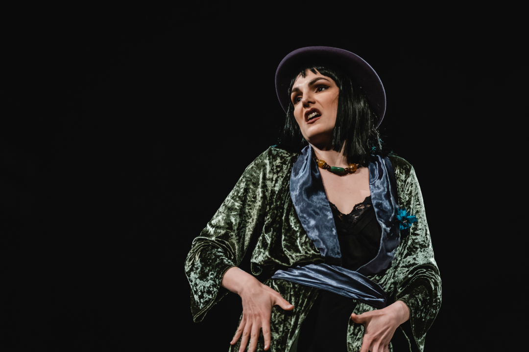 Ženski orkestar do suza nasmijao šibensku publiku, likovi su nam bolno poznati!