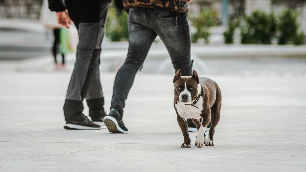 Alternativni Đir po gradu: Ove fotografije neće završiti u modnim listama, ali pokazuju šibensku svakodnevicu