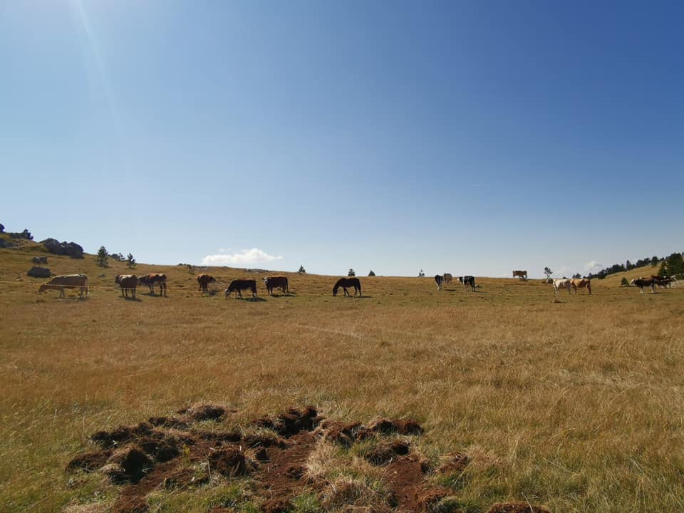 Na Kninskoj tvrđavi Praznik rada slave dan ranije: Posjetitelje očekuju srdele, storytelling ture i vrijedne nagrade!