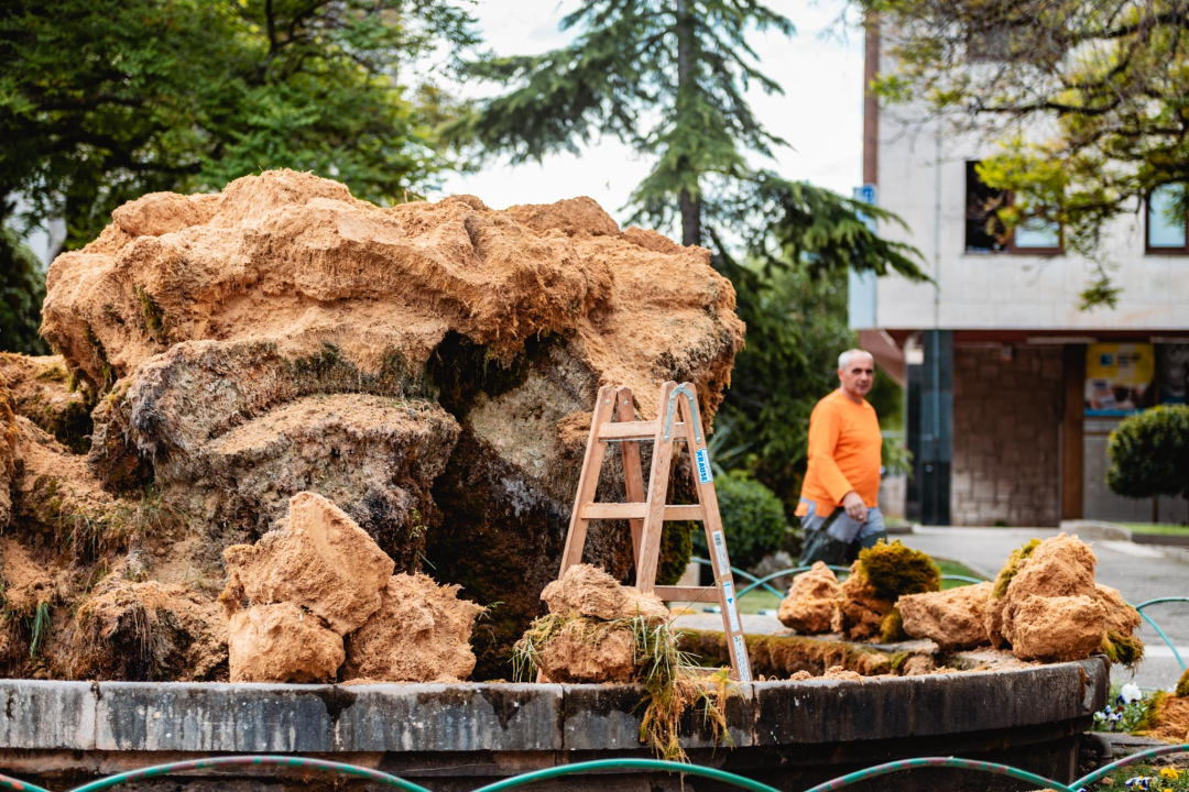 Uklonjen dio sedre kojemu je prijetilo urušavanje: Opet će zazeleniti, a kornjače dobivaju sunčalište