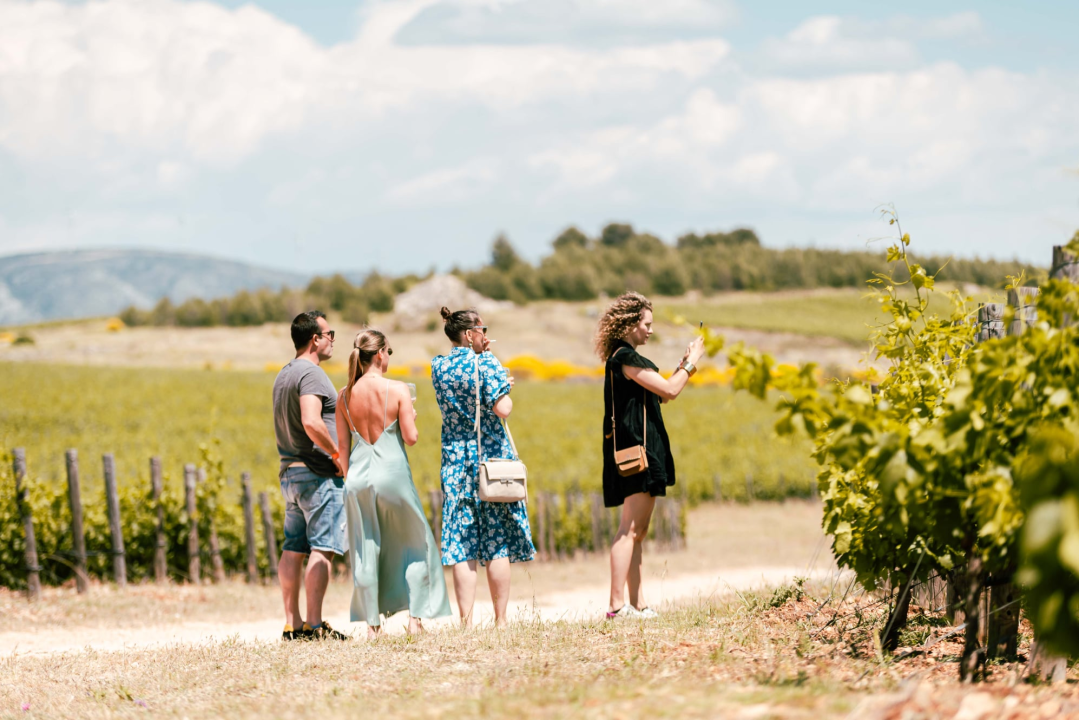 Uživajte u rapsodiji okusa Šibensko-kninske županije na 'Danima otvorenih kušaonica'!