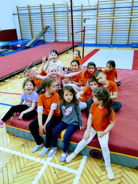 U Šibenik stigla vrijedna gimnastička oprema iz Nizozemske